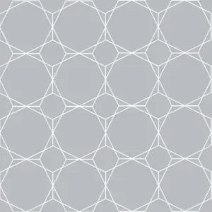Hex Netting